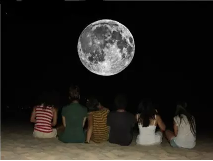 ��ʵ������