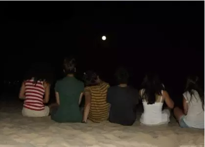 ��ʵ������