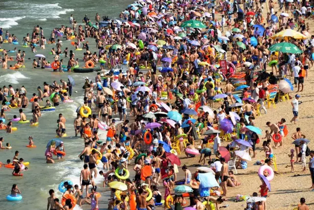 ��ʵ������