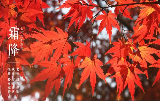 霜降