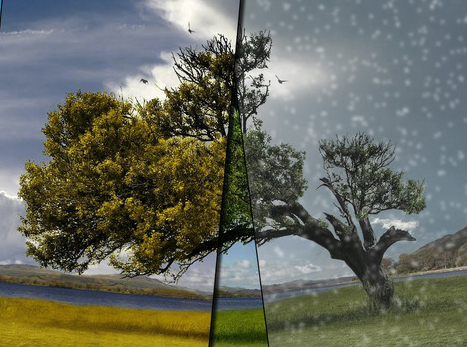 2.jpg 冬季男性健康